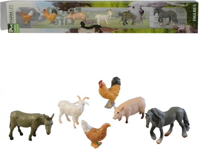 Animali in scatola Domestici