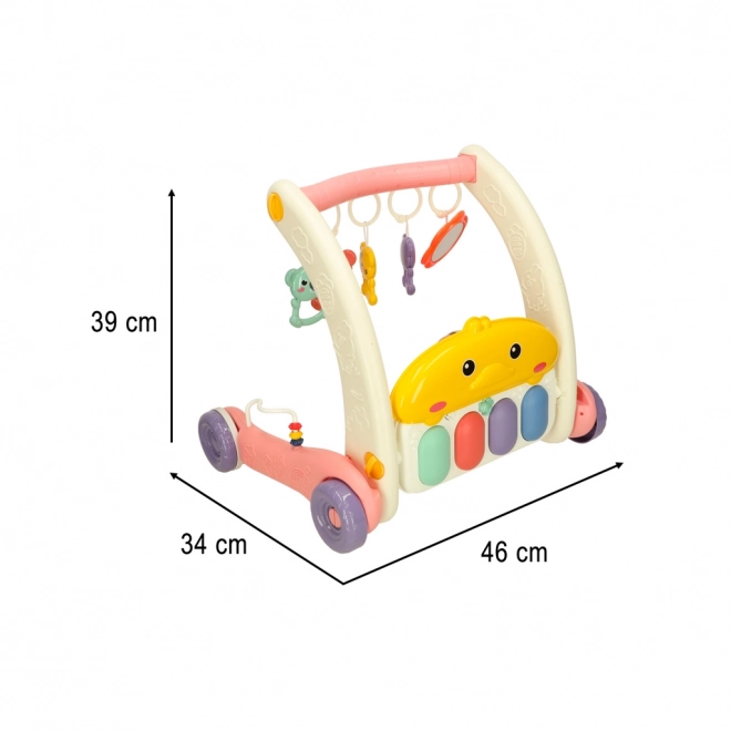 Palestrina e Primi Passi con Pianoforte 2-in-1 Bibi-inn Rosa