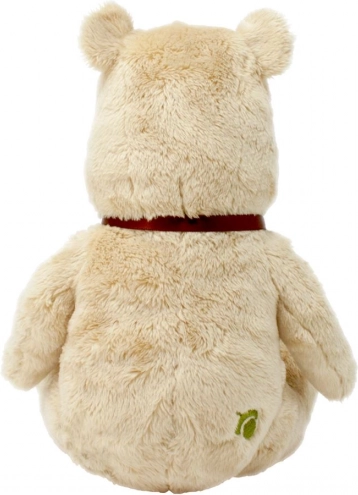 Peluche di Winnie the Pooh Arcobaleno
