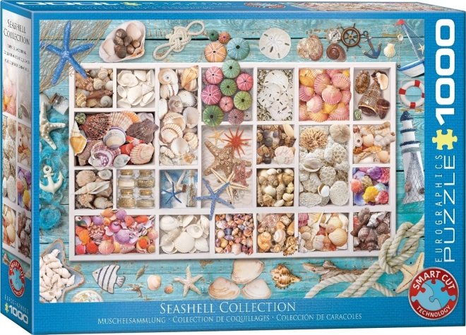 Eurographics Puzzle Collezione Di Conchiglie Di Laura 1000 Pezzi