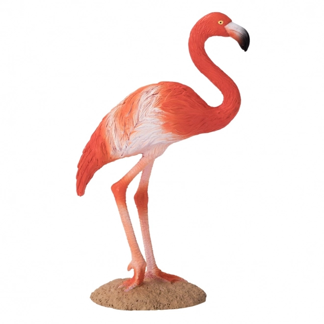 Flamingo caraibico Mojo