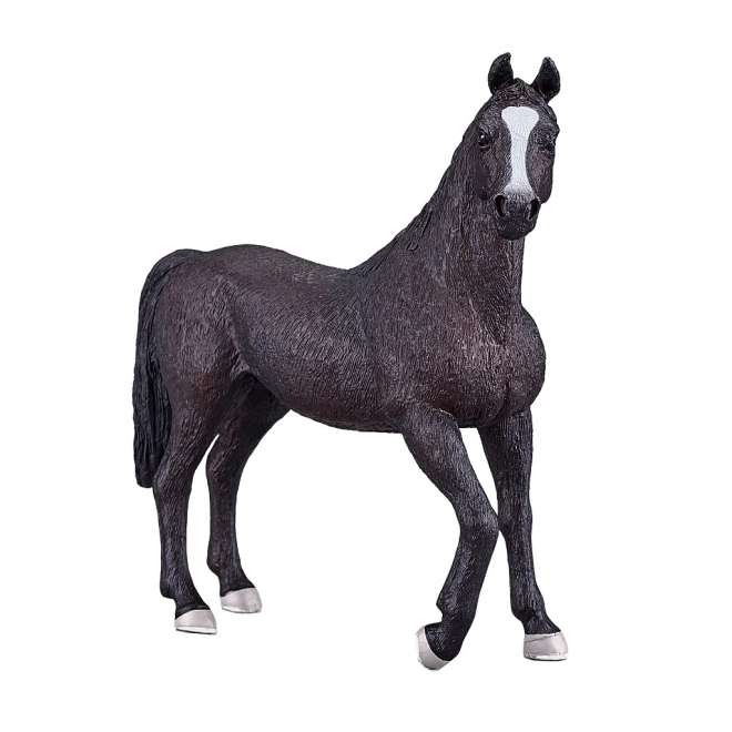 Cavallo arabo Mojo nero