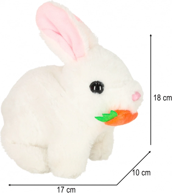 Coniglio Interattivo con Carota