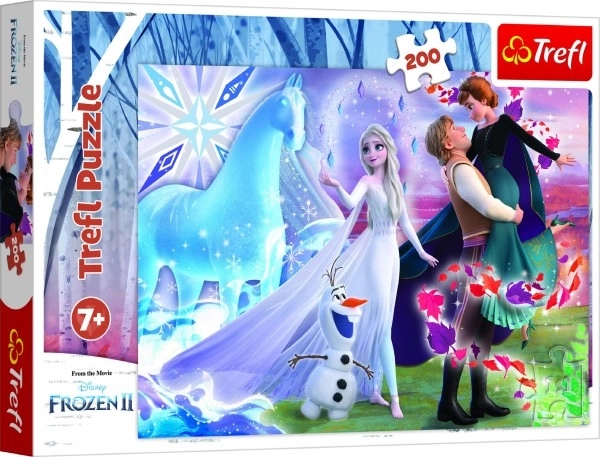 Puzzle Magico Mondo di Sorelle | Frozen 2