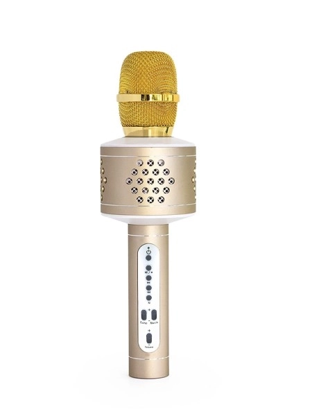 Microfono karaoke con Bluetooth argento – Argento