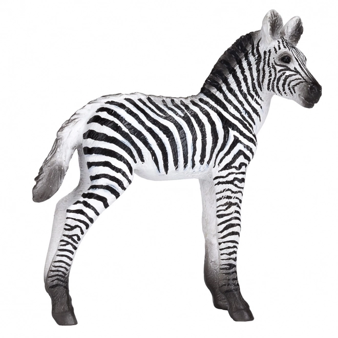 Cucciolo di Zebra Mojo