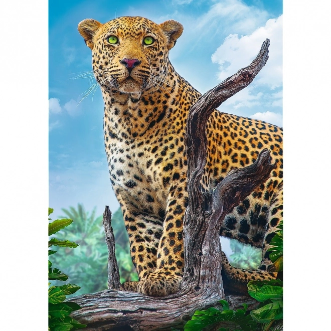 Puzzle TREFL Leopardo selvaggio 500 pezzi