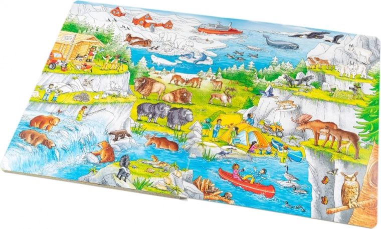 Conoscenza tramite illustrazioni