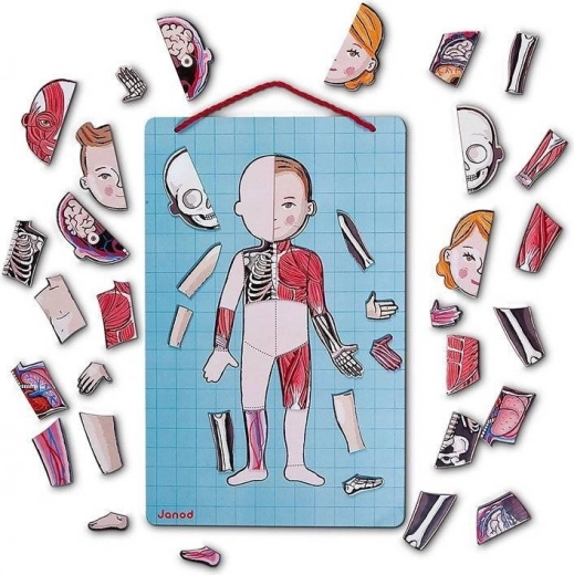 Lavagna magnetica da appendere