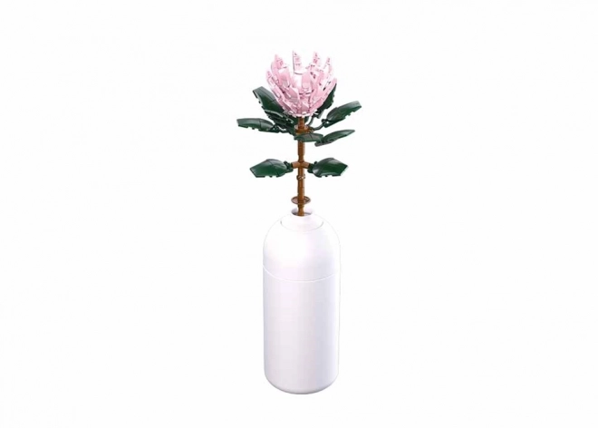 Fiori Sluban Protea in vaso