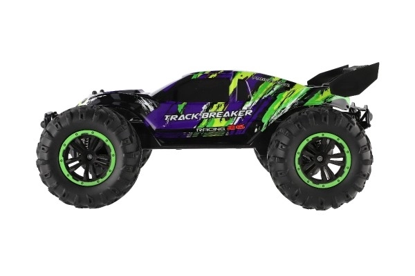 Auto Rc Buggy Veloce 2,4 GHz Plastico 40cm Ricaricabile Viola