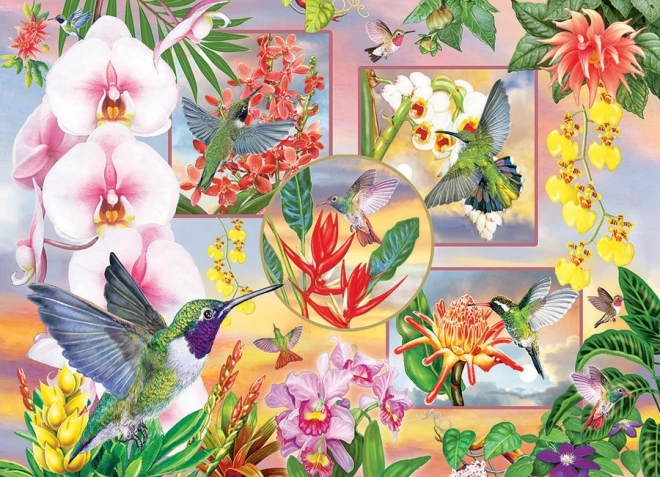 Puzzle di Colibrì 500 Pezzi Cobble Hill