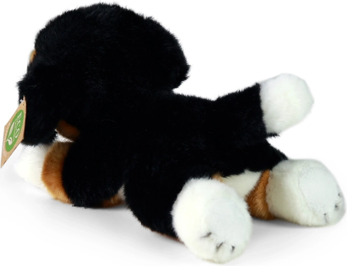 Lavorazione artigianale RAPPA