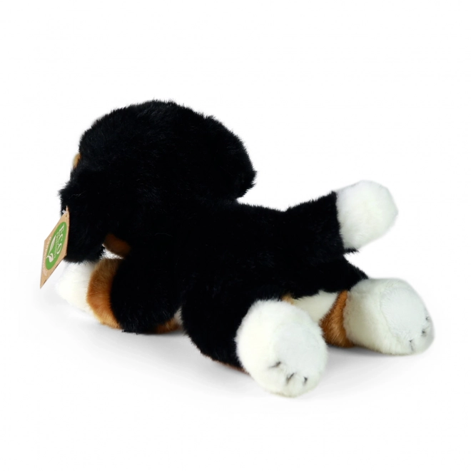 Bernese Mountain Dog giocattolo ecologico 20 cm