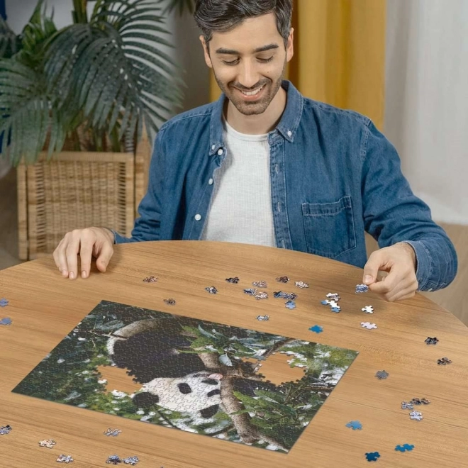 Puzzle Panda 500 pezzi Ravensburger