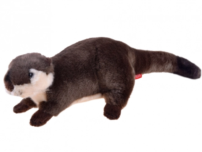 Peluche Lontra Europea 20cm