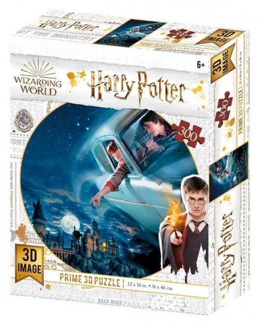 Puzzle 3D Harry Potter: Harry e Ron al Castello di Hogwarts