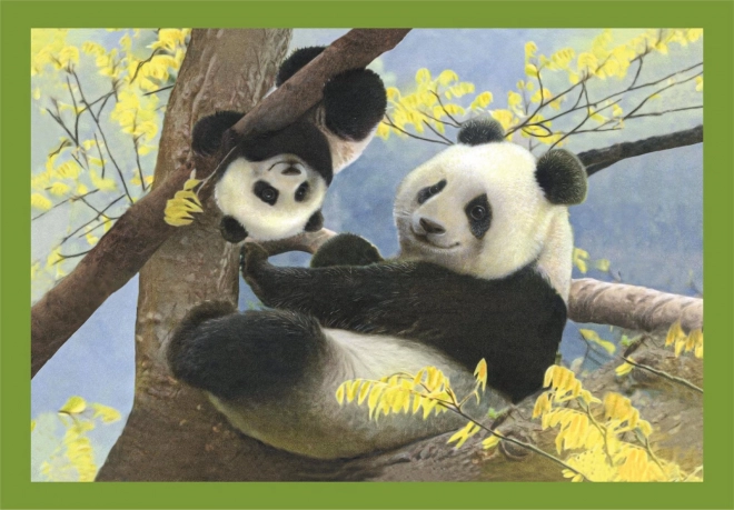 Puzzle Animali Cuccioli 4 in 1 Clementoni