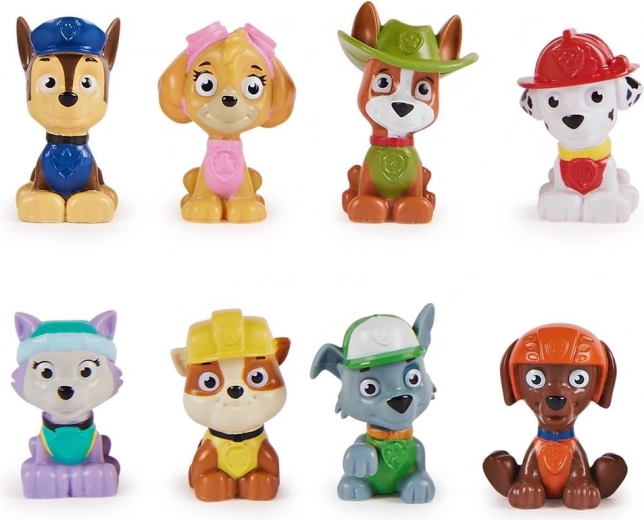 Colleziona tutti gli eroi di PAW Patrol