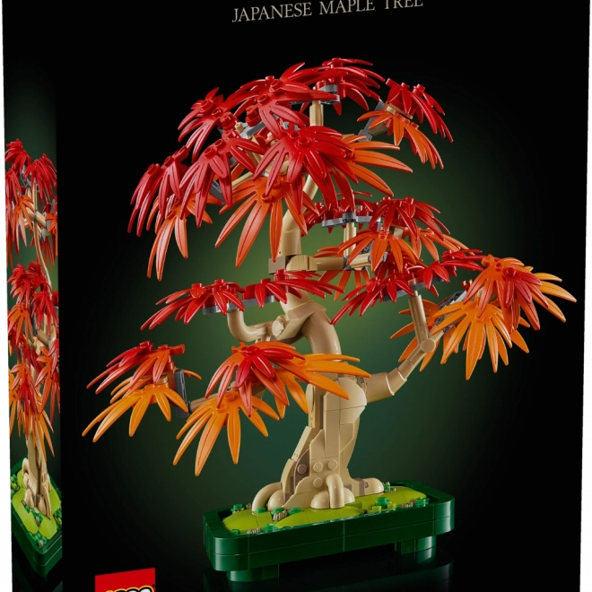 LEGO Botanicals Bonsai - Acero giapponese rosso
