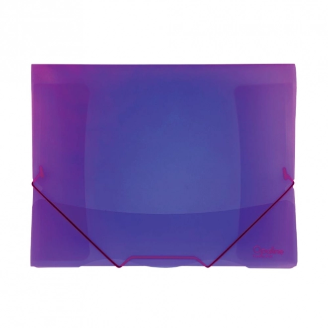 Cartellina con elastico Opaline viola