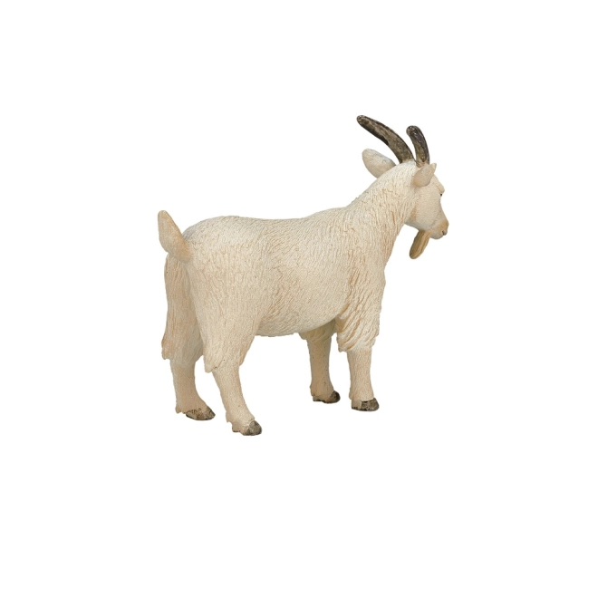 Ideale per collezione e gioco