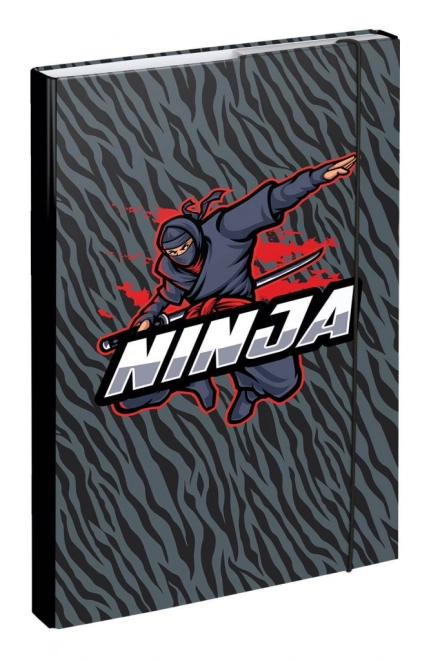 Cartelle per quaderni scolastici BAAGL Ninja formato A4