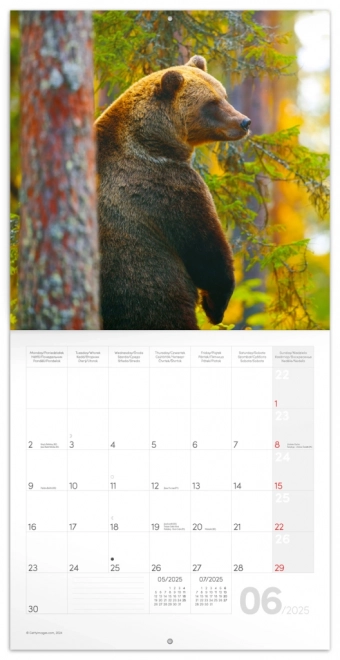 Calendario da parete Animali della Foresta 2025