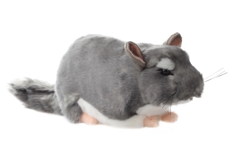 Peluche Chinchilla 22 cm