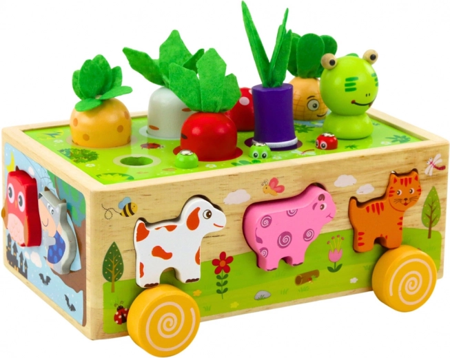 Gioco magnetico per pazienza e precisione