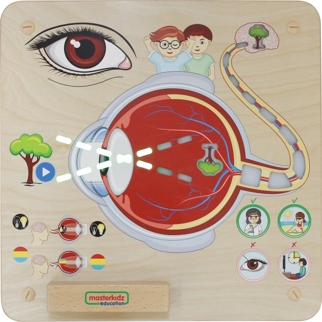 Masterkidz Pannello Educativo Sensoriale Vista Montessori