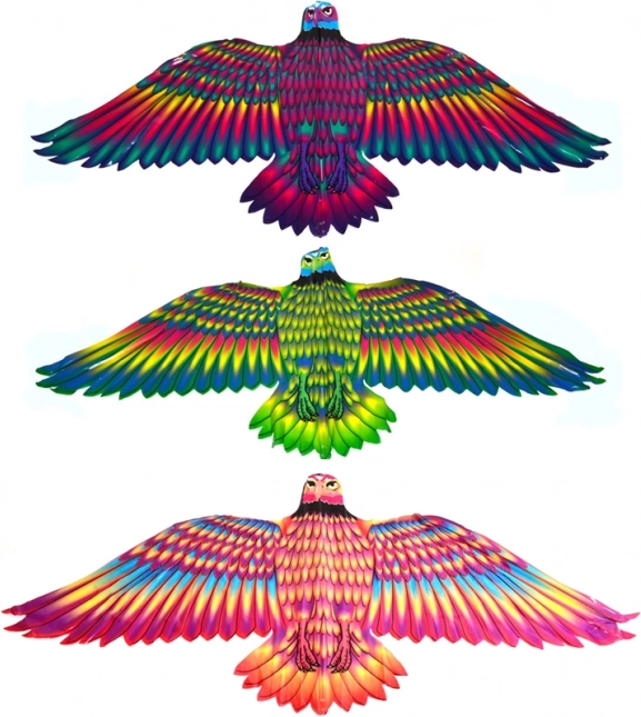 Aquila Volante Drago