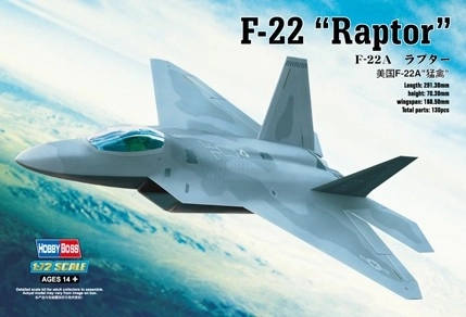 Modello in plastica F-22A Raptor