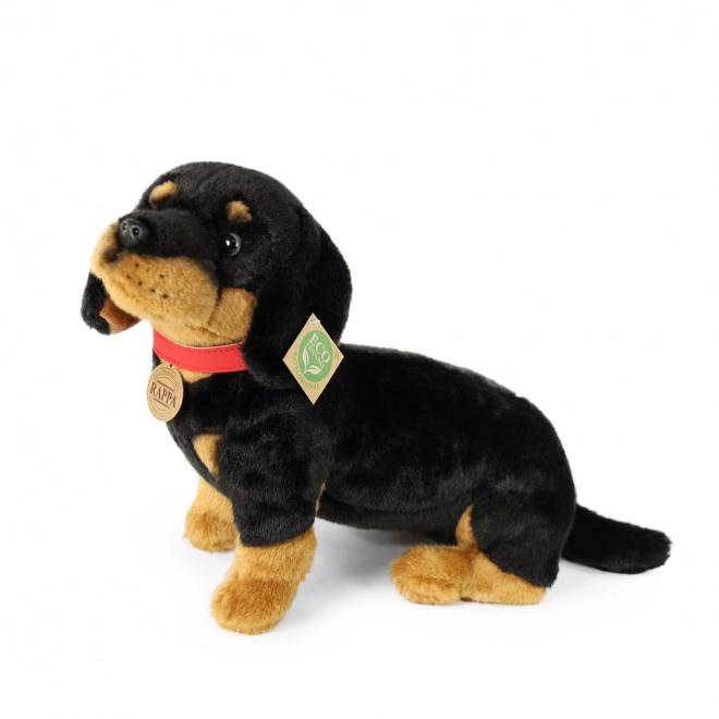 Cane Bassotto in Peluche 30 cm Eco-Friendly