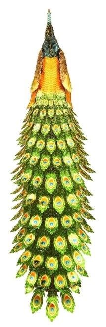 Decorazione accattivante e ottimo regalo