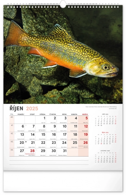 Calendario da Parete da Pesca 2025