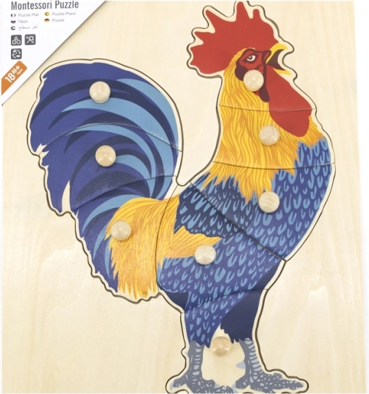 Legno resistente e colori sicuri