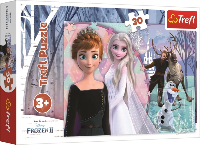 Puzzle Magico Frozen 2 30 Pezzi