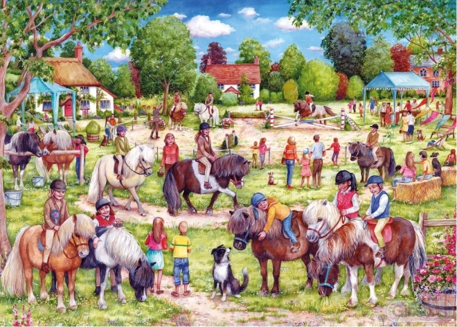 Puzzle 1000 pezzi Gibson Shetland Pony Club