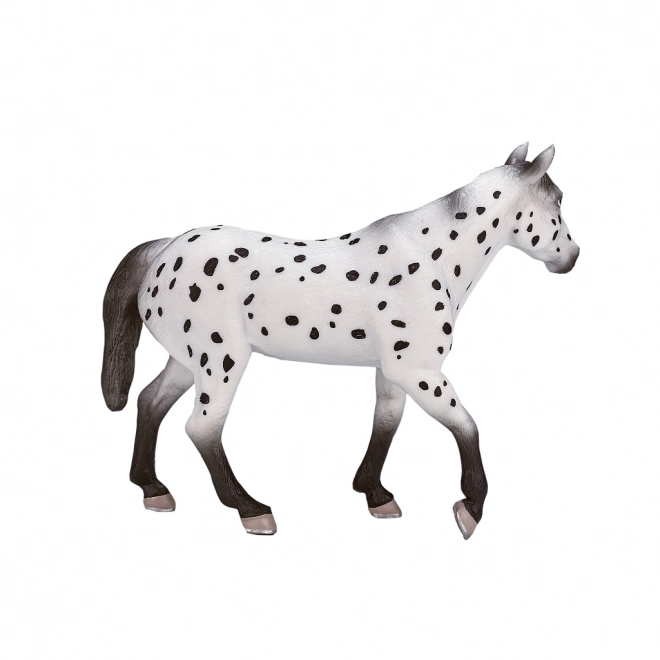 Stallone Appaloosa Mojo