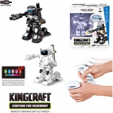 MaDe Robot da Combattimento