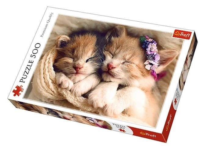 Puzzle Gattini Addormentati 500 Pezzi