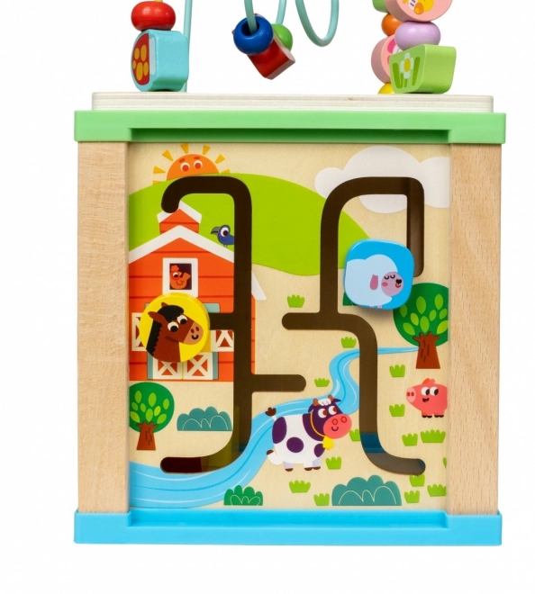 Cubo di attività in legno 5 in 1