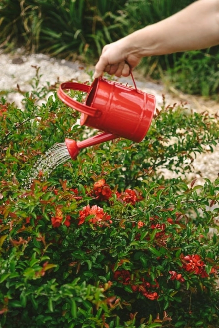 Annaffiatoio in metallo rosso per giardino