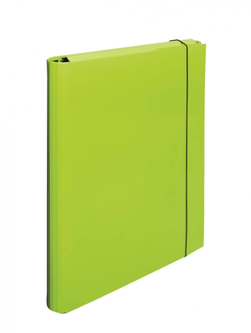 Cartelle laminato con elastico verde