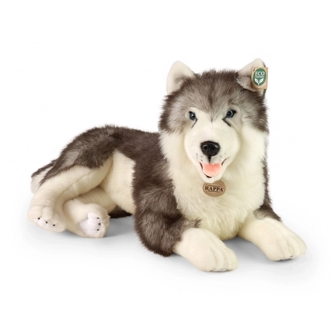 Peluches husky sdraiato eco-friendly 60 cm