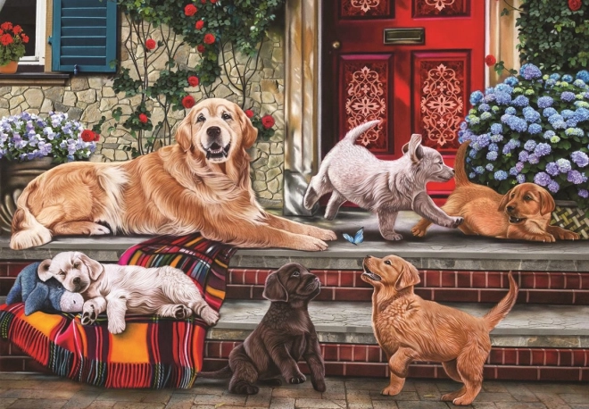 Puzzle famiglia di cani 260 pezzi