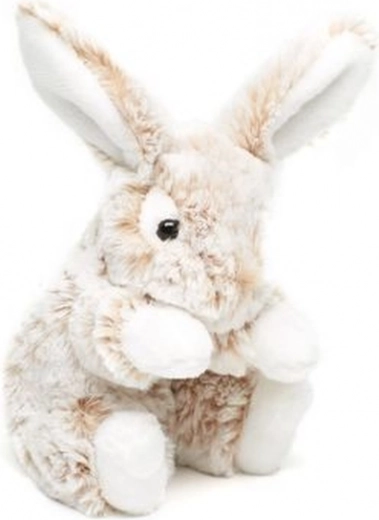 Dimensione ideale 20 cm