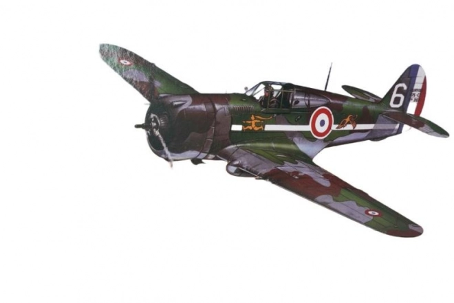 Modello Aereo Curtiss Hawk