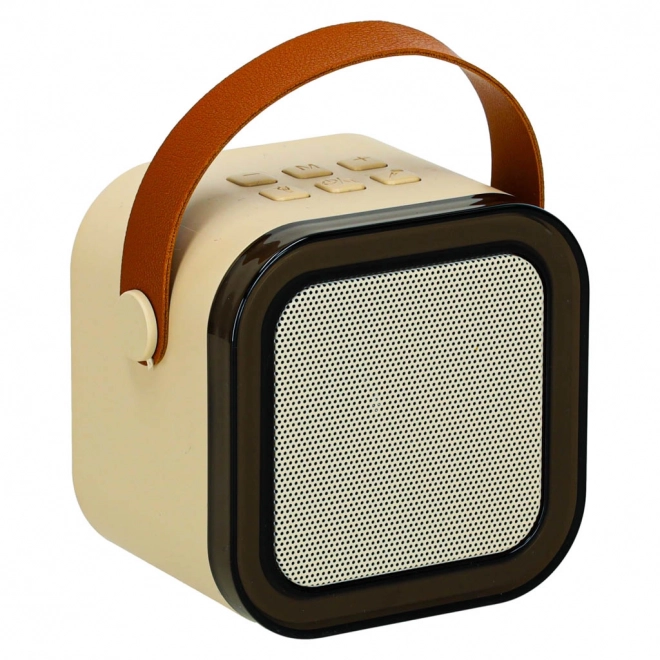Set karaoke con due microfoni e altoparlante portatile Bluetooth LED beige
